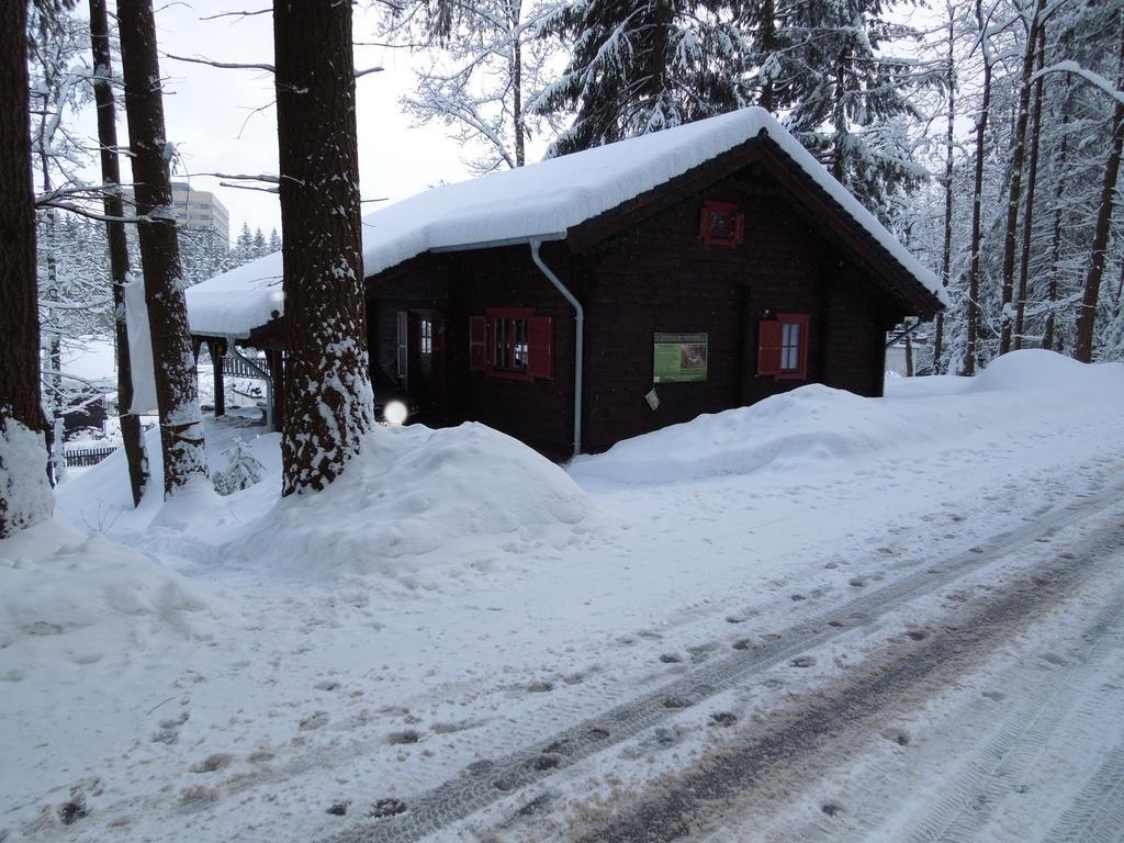 Blockhaus Bodefall Braunlage Phòng bức ảnh