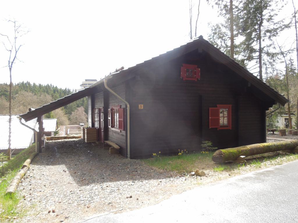 Blockhaus Bodefall Braunlage Ngoại thất bức ảnh