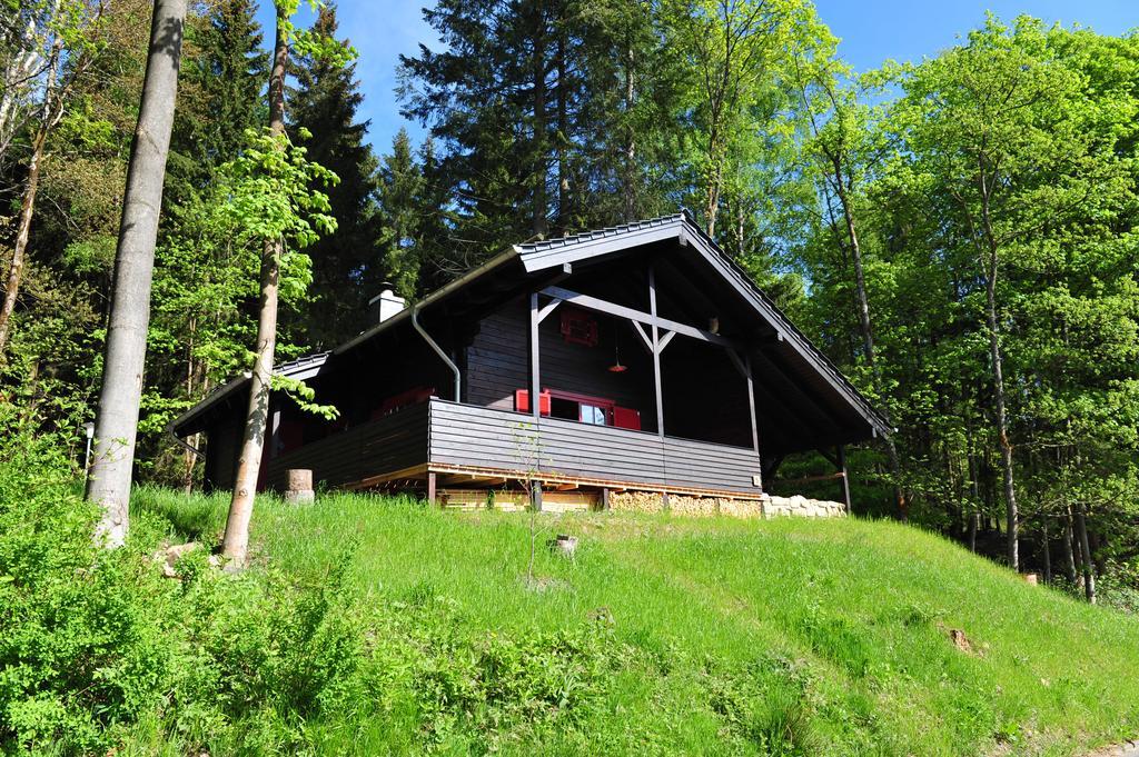 Blockhaus Bodefall Villa Braunlage Ngoại thất bức ảnh