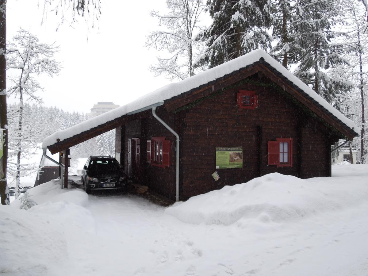 Blockhaus Bodefall Braunlage Ngoại thất bức ảnh